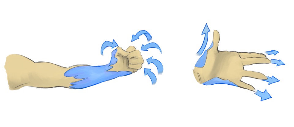 Grafische Darstellung: links Hand als Faust angespannt. Rechts Finger ausgestreckt. Jeweile in blau die Unterarmmusekln.
