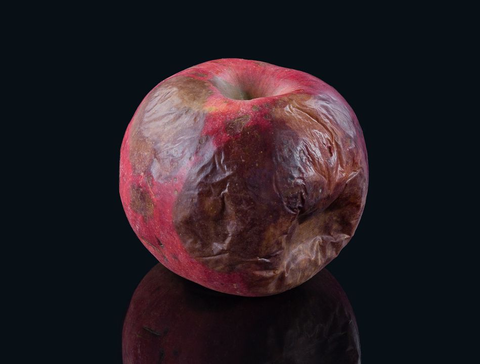 Verfaulter Apfel