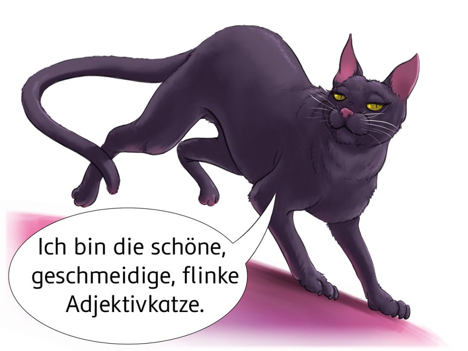 Farbige Illustration: schwarze Katze läuft auf pinkem Boden, weiße Sprechblase zeigt Text, den die Adjektivkatze sagt