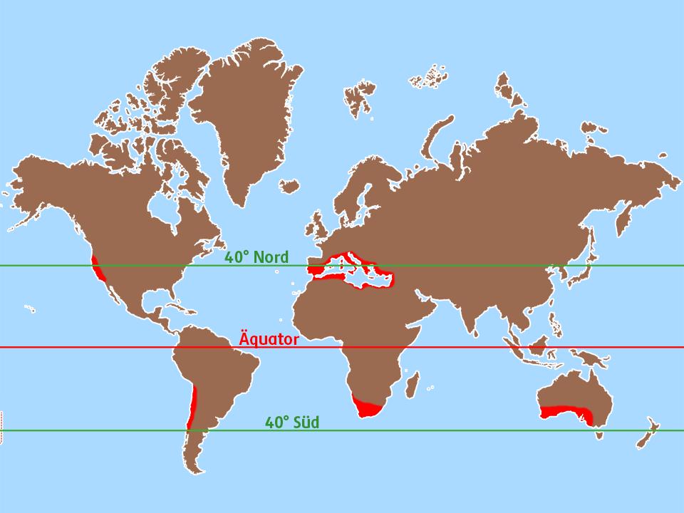Eine Weltkarte mit eingefärbten Regionen mit Mittelmeerklima und dem Äquator, als auch dem nördlichen und südlichen 40. Breitengrad.
