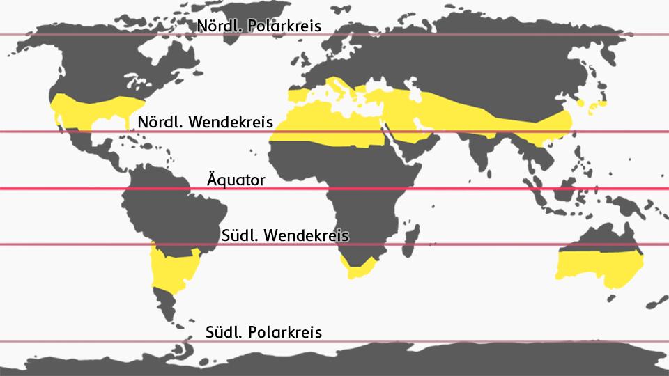 Eine Weltkarte mit in gelb eingefärbten Bereichen in der subtropischen Zone und den nördlichen und südlichen Wendekreisen, als auch den beiden Polarkreisen. 