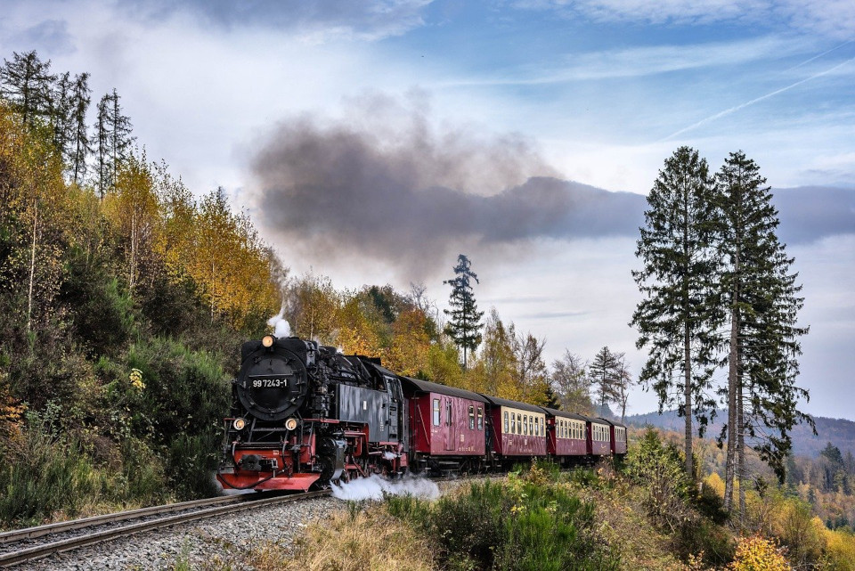 Fotografie einer alten Dampflokomotive, mit weinroten Wagons, die im Harz fährt. Dunkle Dampfwolken steigen auf, die Bäume links und rechts von den Gleisen sind in herbstlichen Farben. 