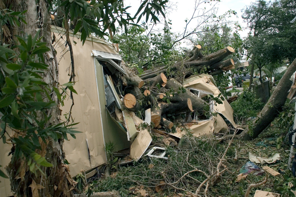 Foto von einem durch die Winde von Hurrikan Katarina umgestürtzen Baumes, unter dem Baum liegen die Trümmer eines zerstörten Wohnwagens.