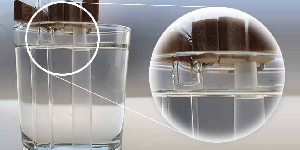 Zwei Strohhalme in einem Wasserglas. Im Glasstrohhalm steigt das Wasser nach oben, im Plastikstrohhalm wird es nach unten gedrückt.