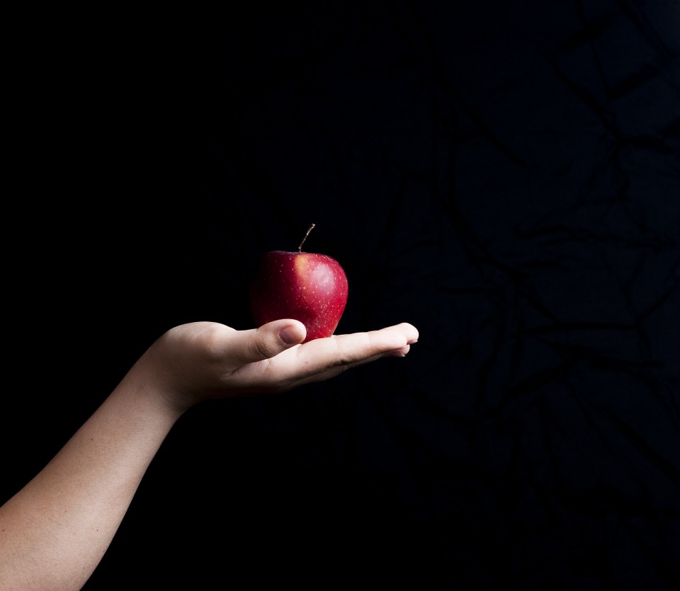 Eine Hand hält einen roten Apfel
